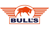 Bulls Darts