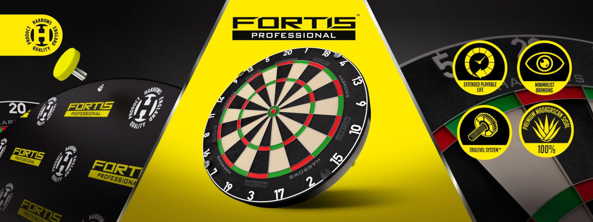 Fortis dartboard
