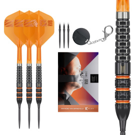 Raymond Van Barneveld 95K 25g