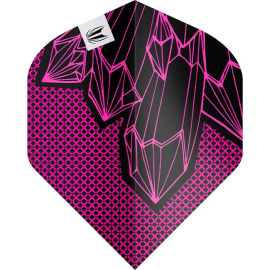 Lorraine Winstanley G2 NO2 PRO ULTRA flights