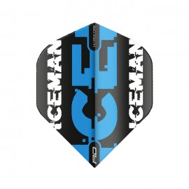 Hardcore Gerwyn Price pikado pera 6478