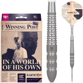 Raymond Van Barneveld 25 95% 25g