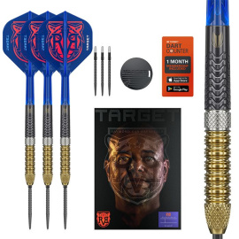 RAYMOND VAN BARNEVELD 95% GEN 6 23G SP