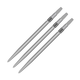 Swiss Nano Point 2024 Silver 40mm