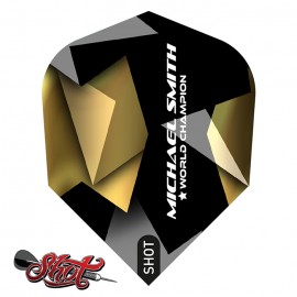 Michael Smith Believe NO6 dart flights