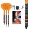 Raymond Van Barneveld 95K 20g