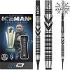 Gerwyn Price Thunderbolt 20g