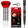 Clayton Hiraeth Switch Points 23g